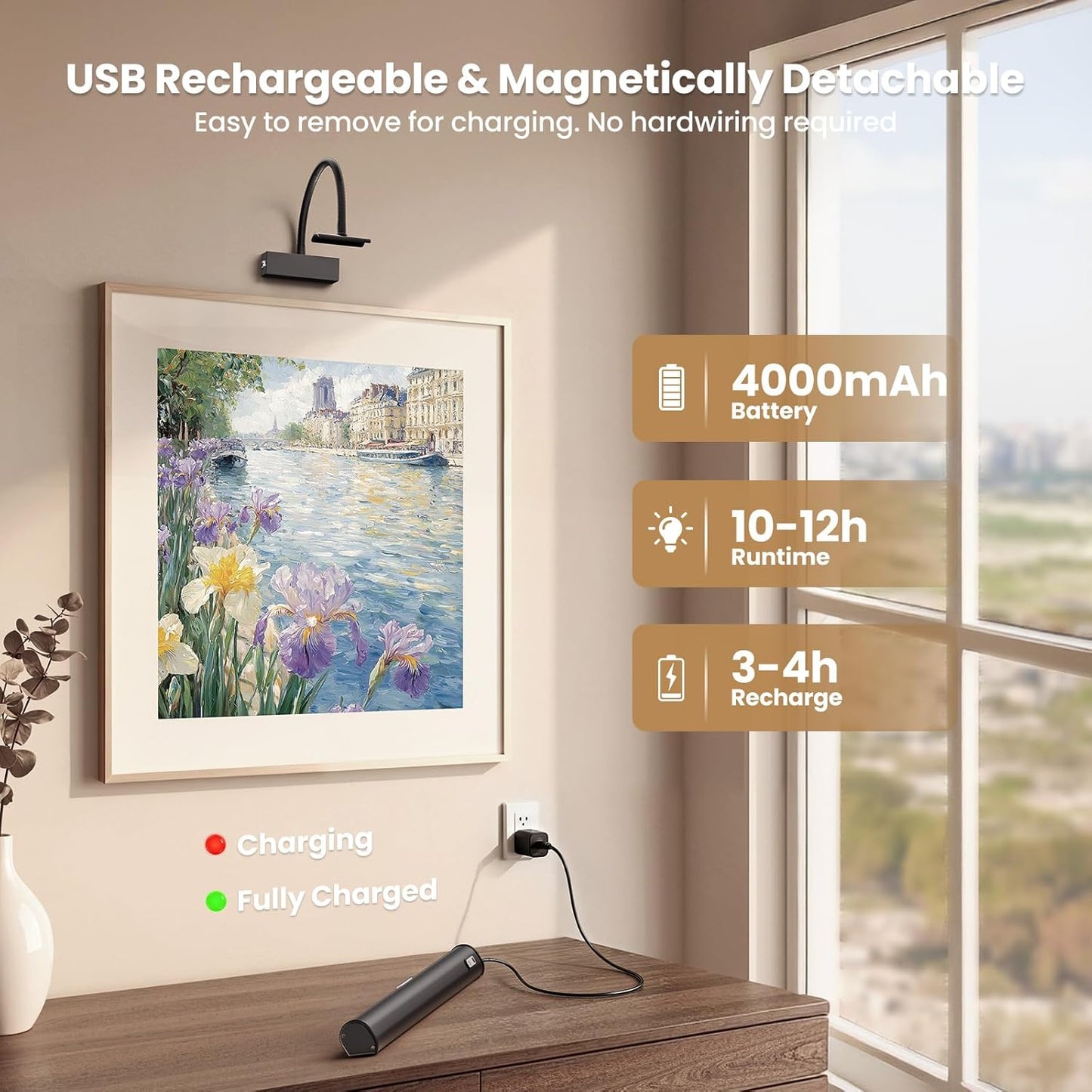 iMaihom Rechargeable Picture Light for Wall
